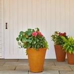 Rapallo Pot Medium