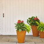 Rapallo Pot Small