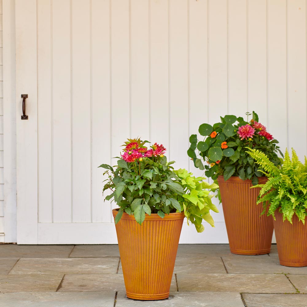 Rapallo Pots