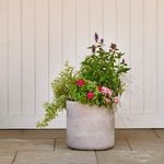 Barcelona Cylinder Planter, taupe Large