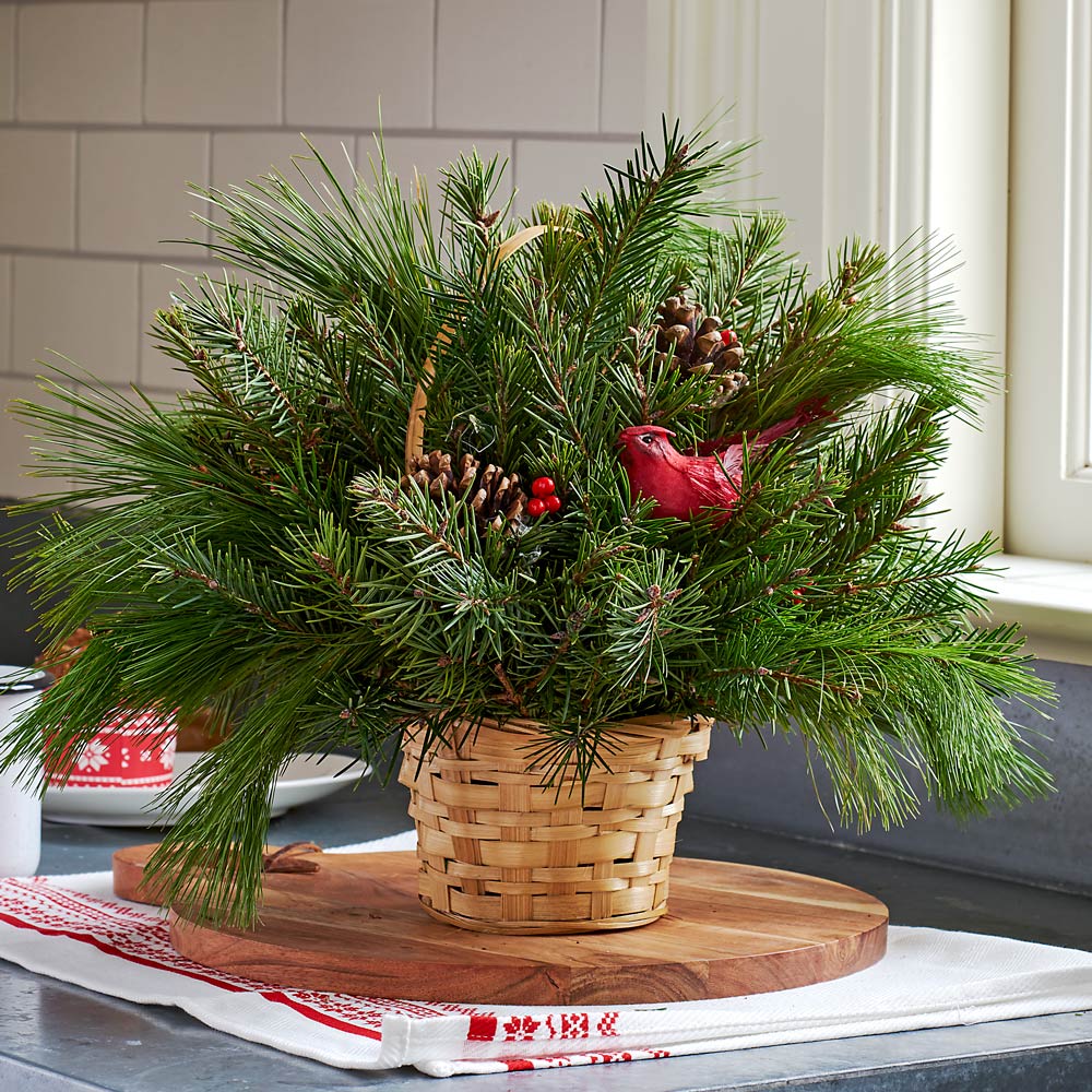 Holiday Cardinal Wreath and Basket