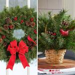  Holiday Cardinal Wreath and Basket