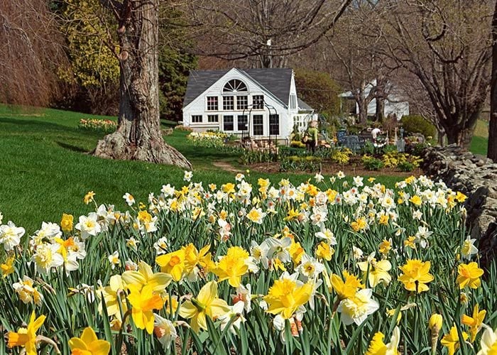 Careers White Flower Farm