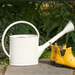  Waterfall Watering Can, cream