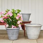  Foxcroft Planters