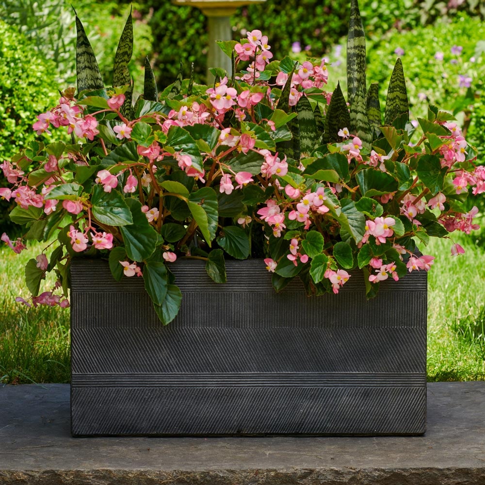 High Contrast Container Garden