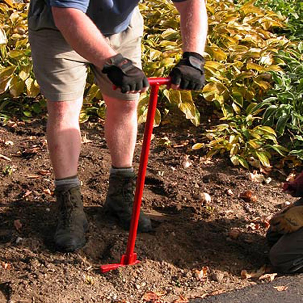 Bulb Planter for Naturalizing White Flower Farm