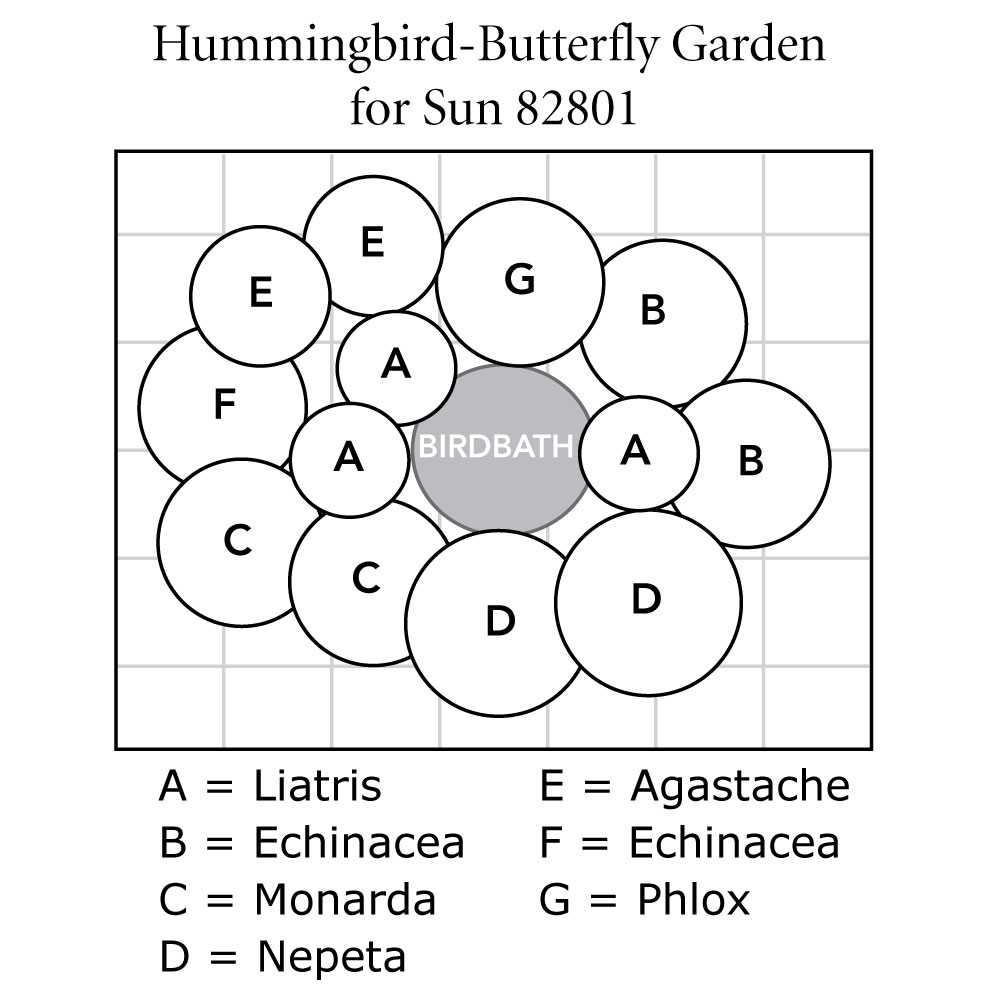 HummingbirdButterfly Garden for Sun White Flower Farm