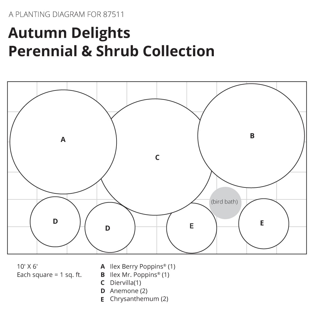 Autumn Delights Perennial & Shrub Collection White Flower Farm