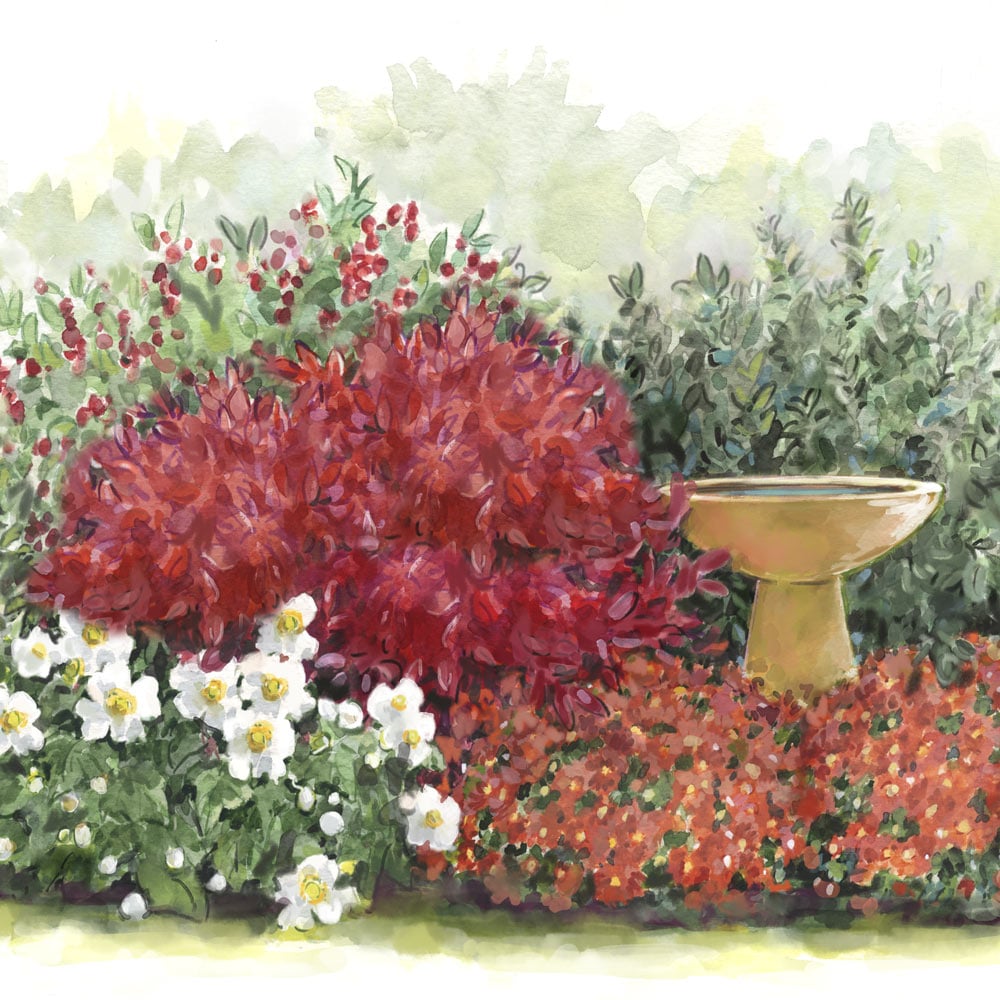 Autumn Delights Perennial & Shrub Collection