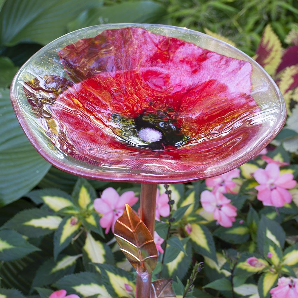 Iridescent Poppy Birdbath