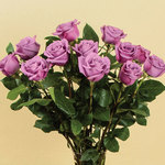  Purple Rose Bouquet - 12 stems