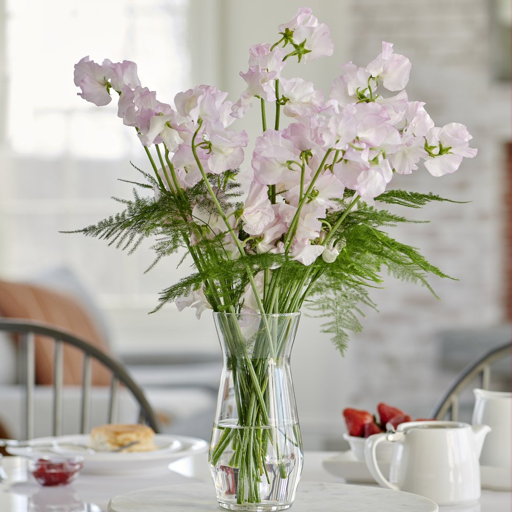 Sweet Pea Affection Bouquet