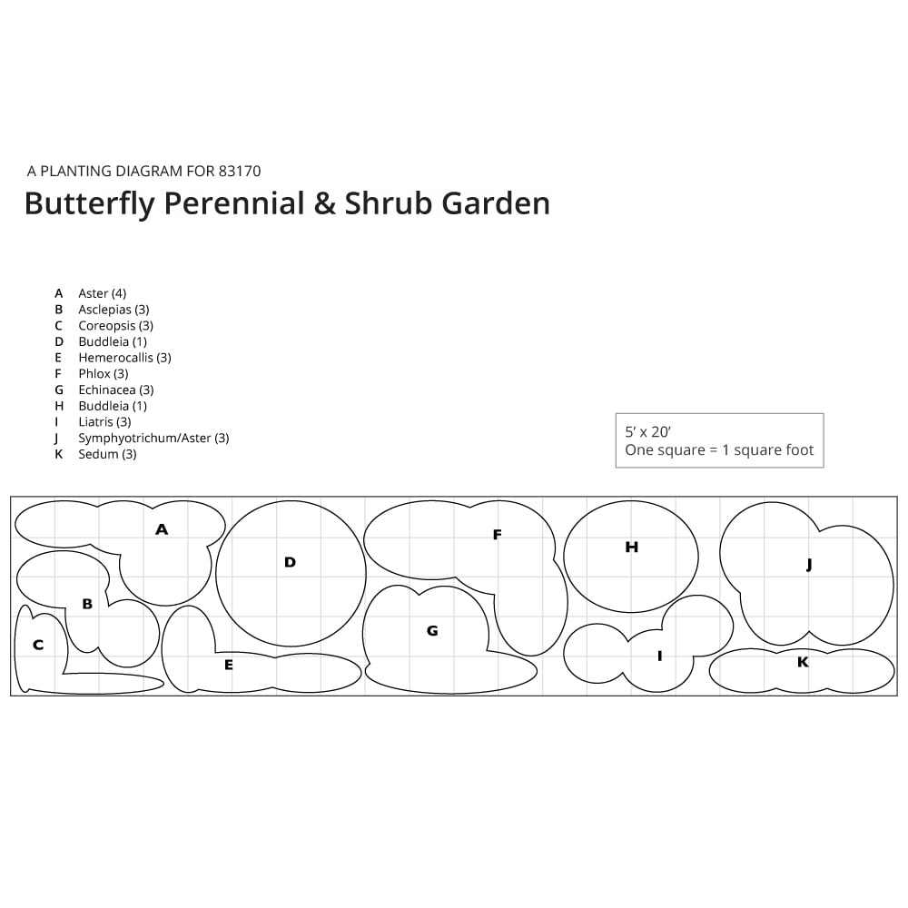 The Butterfly Perennial & Shrub Garden White Flower Farm
