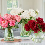  Peony Bouquets