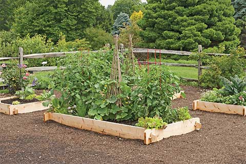 Composting Garden