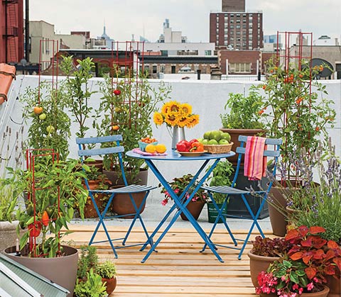 Composting Rooftop