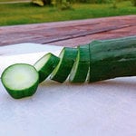 Cucumber