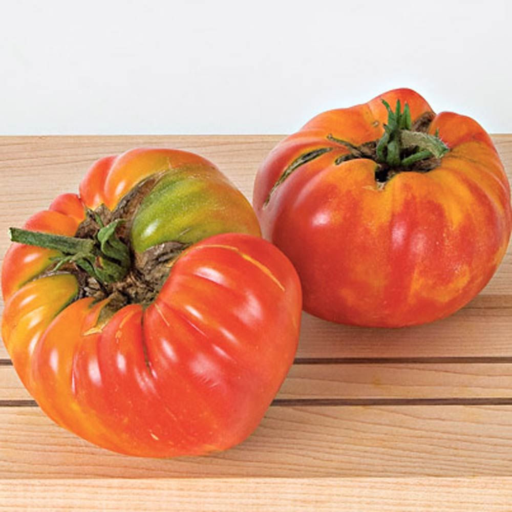 Set of 6 Heirloom Tomatoes White Flower Farm