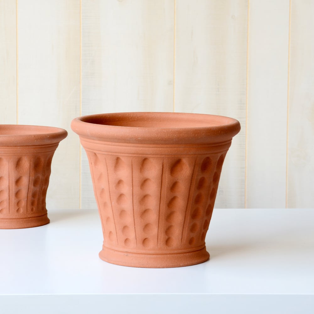 Cockleshell Pot