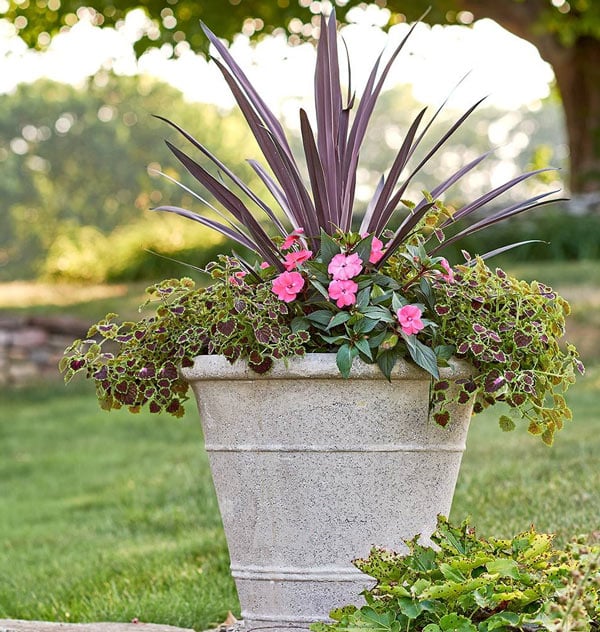 Single container vegetable garden