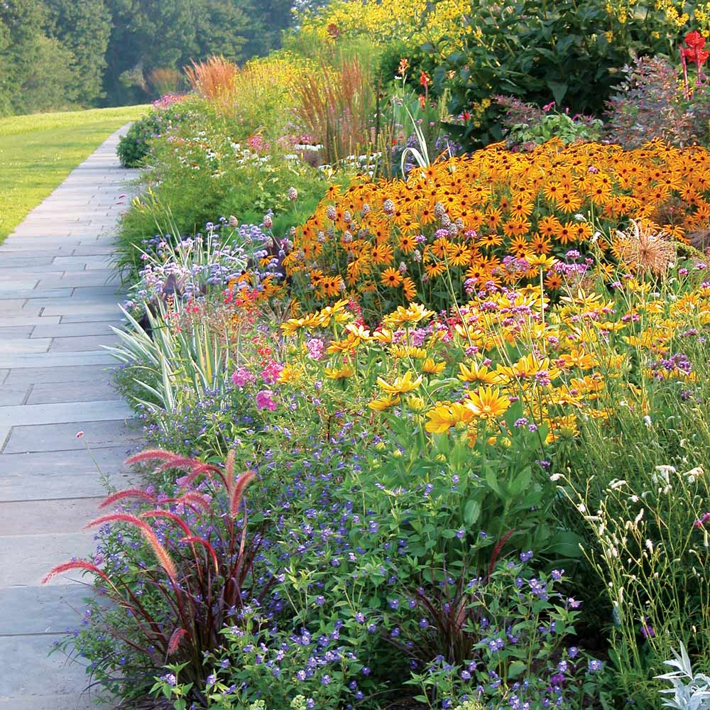 Frequently Asked Questions | White Flower Farm