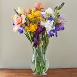  Bearded Iris Bouquet