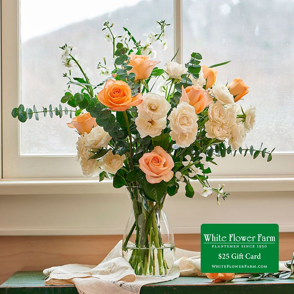 Morning Light Bouquet