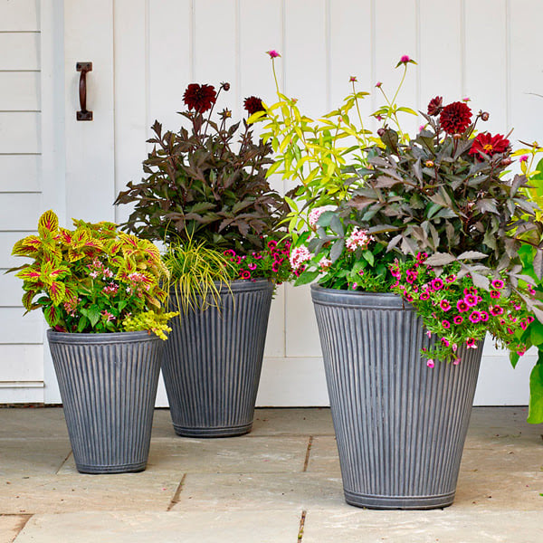 Planters by Size  Small, Medium, Large + Extra Large Plant Pots - Terrain