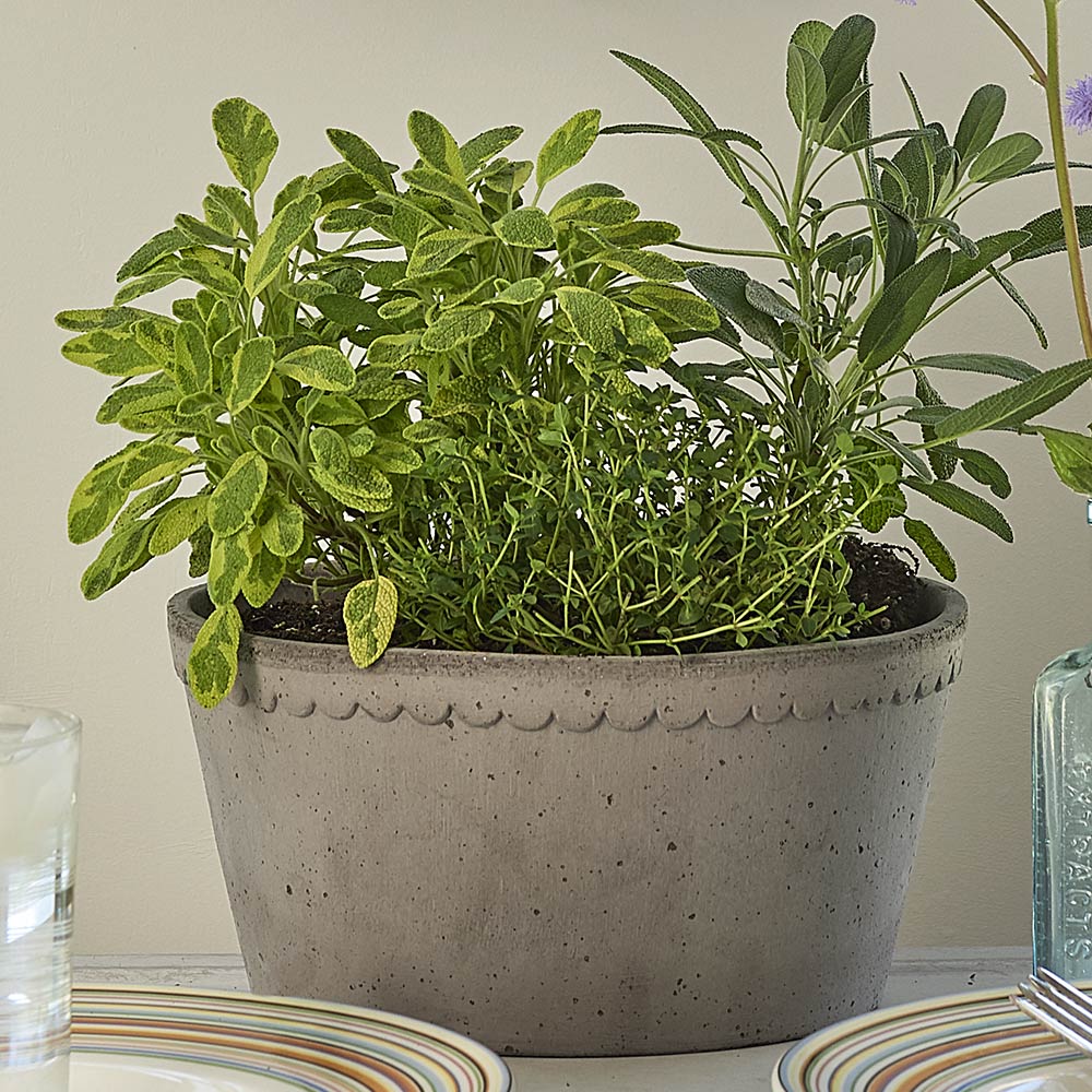 Gray Cottage Dish Planter and Saucer, 8½