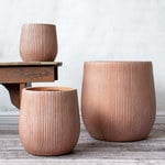 Fiberclay Containers