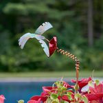 Garden Décor