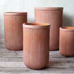 Modella Tall Lighweight Container Small