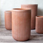 Modella Tall Lightweight Container Medium
