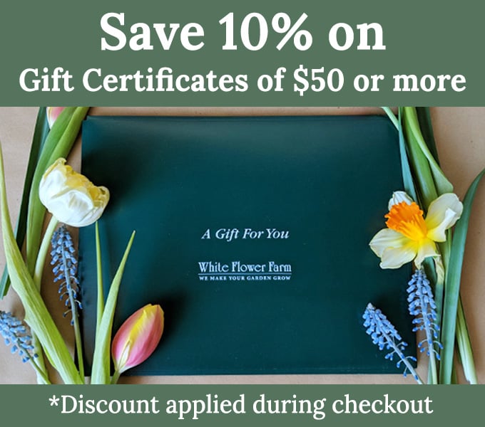 Flower Gift Card Gardening Gift Cards White Flower Farm
