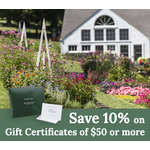  Gift Certificate - Printed/Shipped