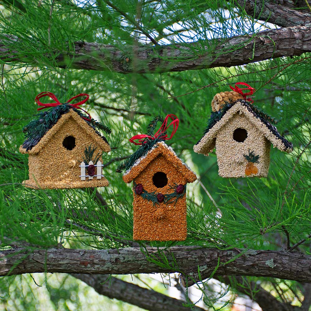 Trio of Birdseed Cottages