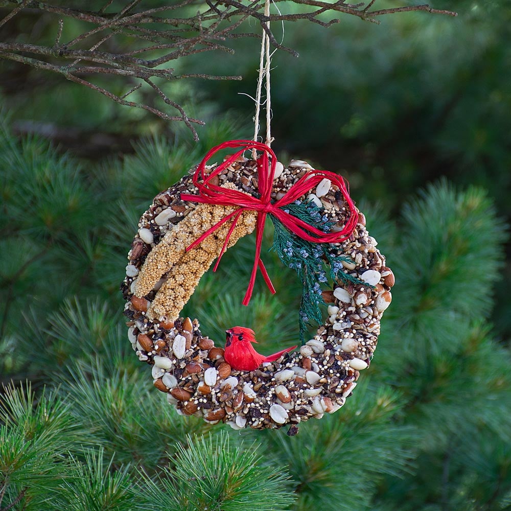 Rustic Cardinal Birdseed Wreath