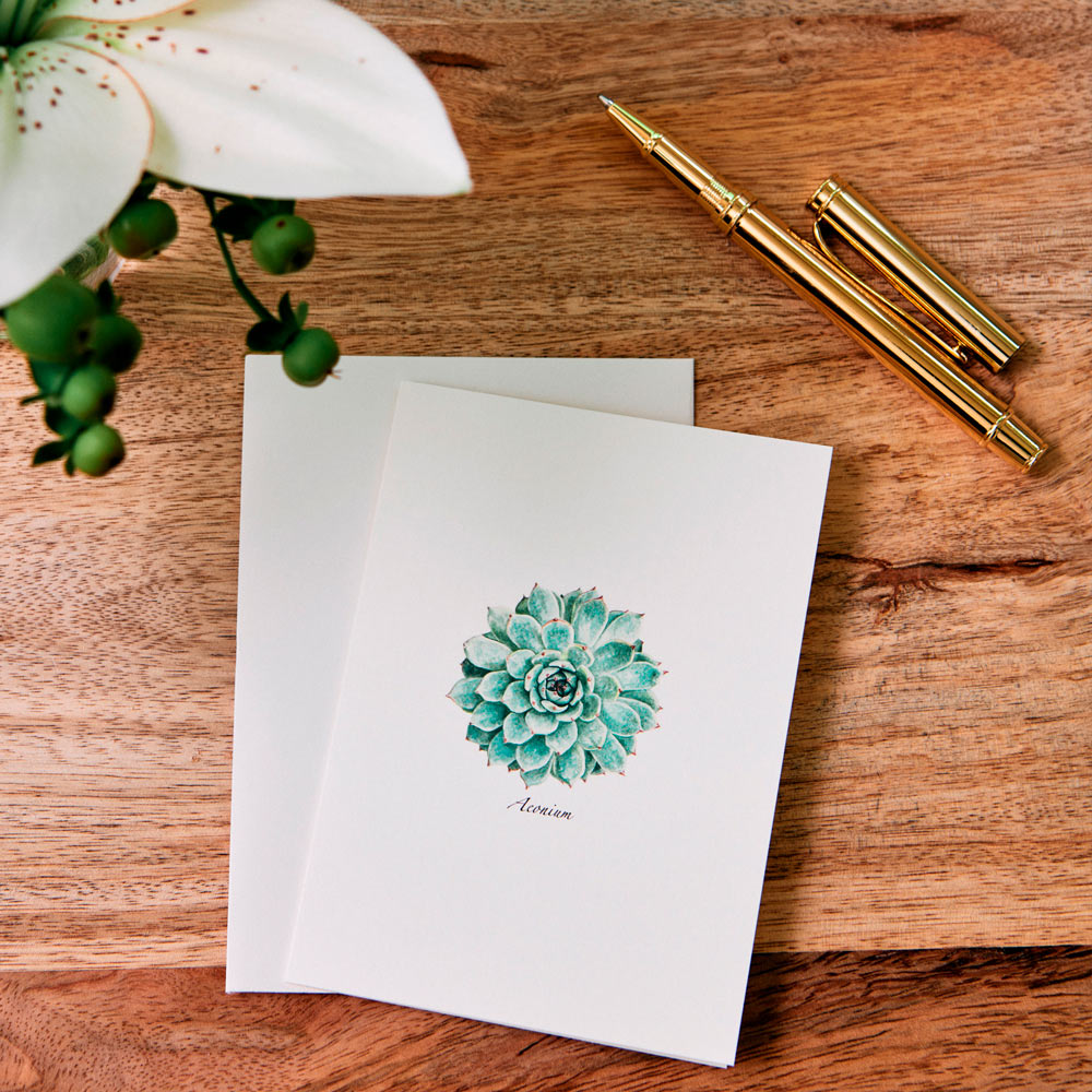 Boxed Note Card Set White Flower Farm