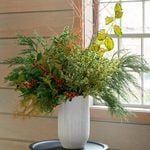  Evergreen Elegance Bouquet
