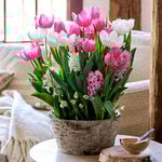  Peppermint Forest Bulb Garden in large Birch basket