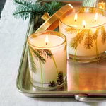  Thymes Frasier Fir Pine Motif Candle, Small