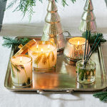  Thymes Frasier Fir Pine Motif Candle