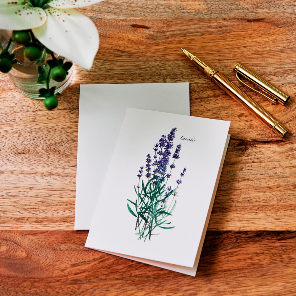 Lavender Boxed Note Card Set - Standard Shipping Included