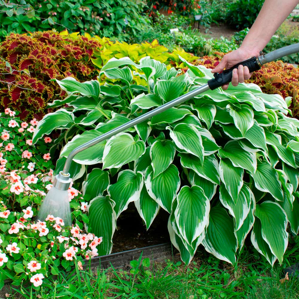 Professional-Grade Watering Wands