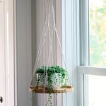  Hanging Plant Tray