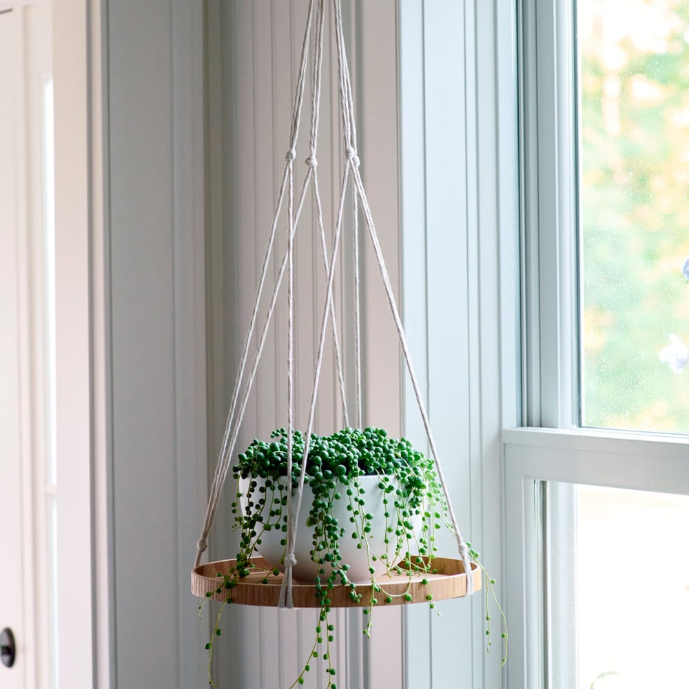 Hanging Plant Tray