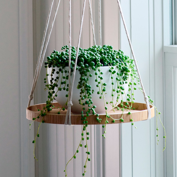 Hanging Plant Tray White Flower Farm