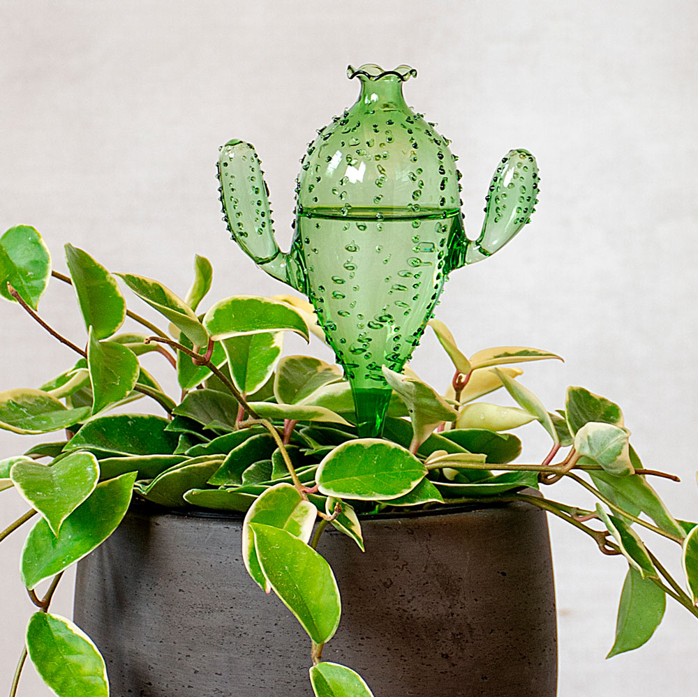 Blown-Glass Cactus Water Bulb