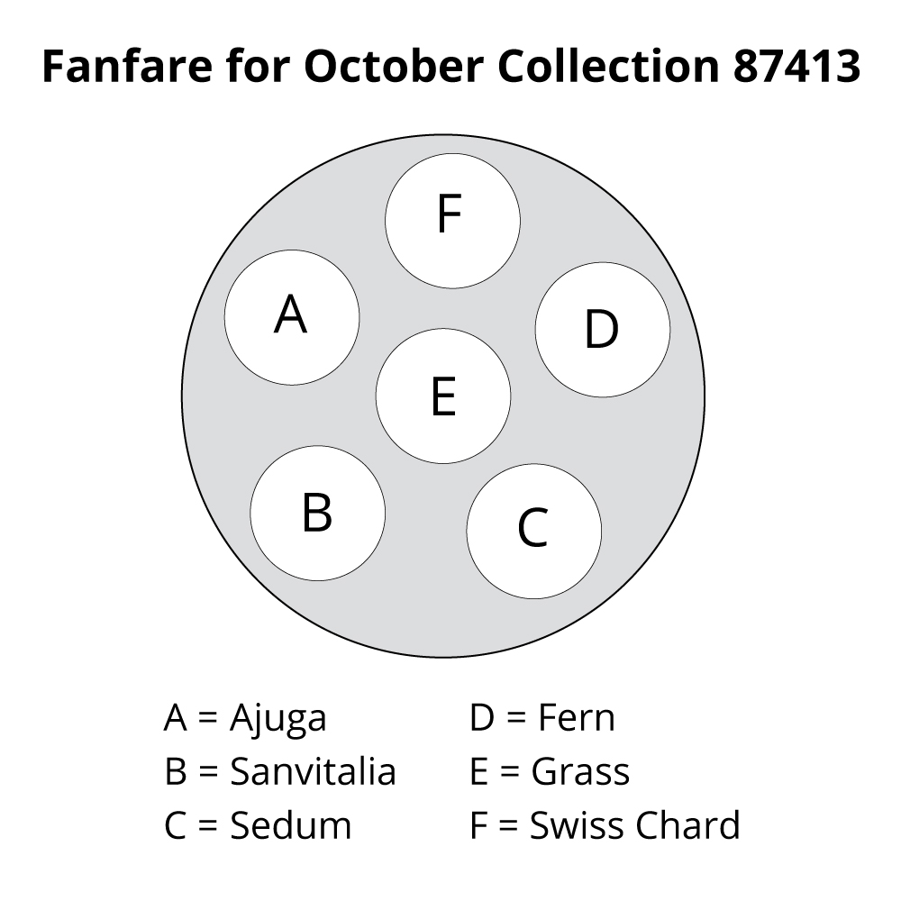 Fanfare for October Collection White Flower Farm